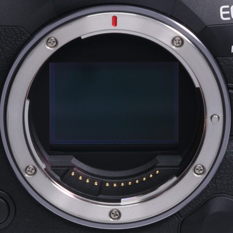 EOS R5 Mark II ボディー