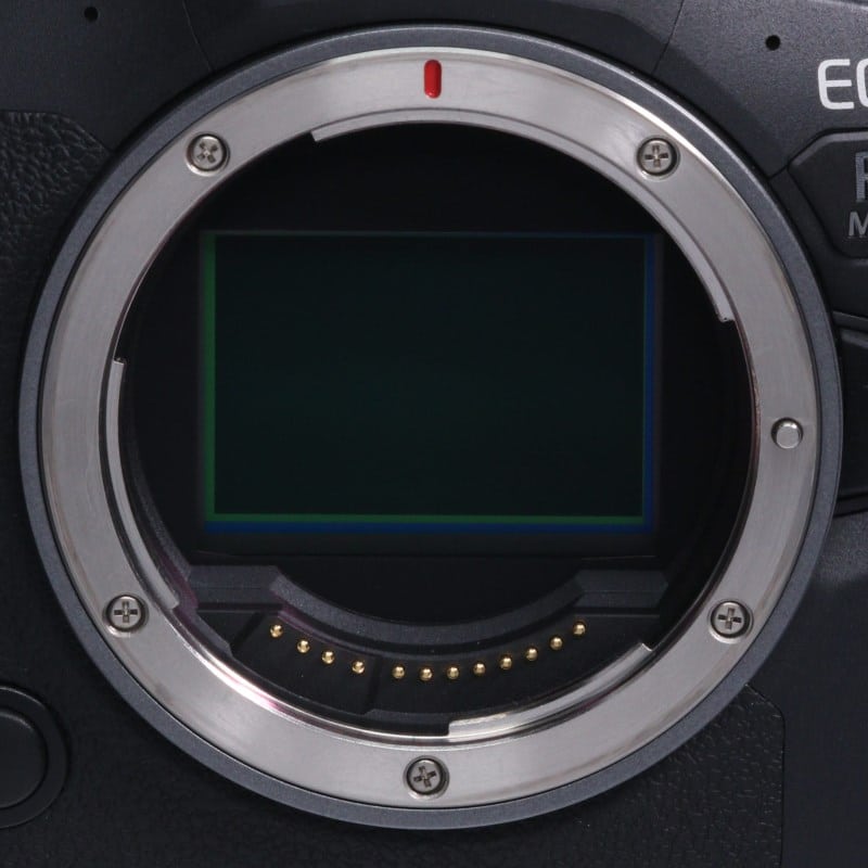 EOS R6 Mark II ボディー