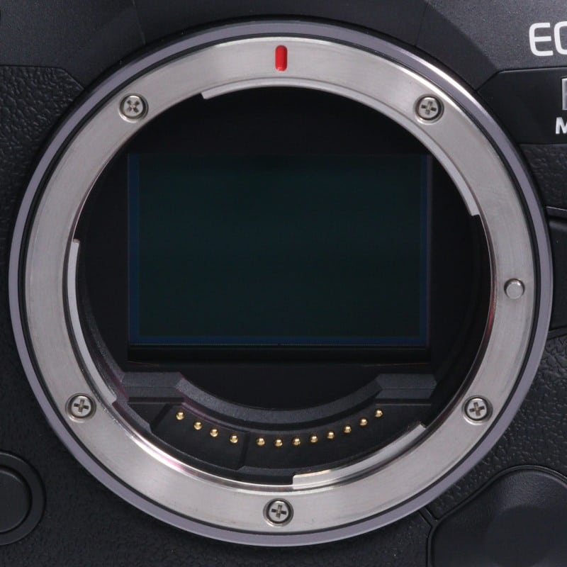 EOS R5 Mark II ボディー