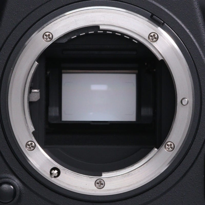 D500 ボディ