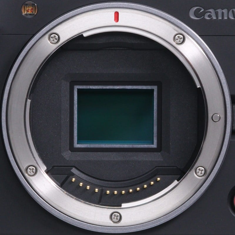 EOS R50 V ボディー