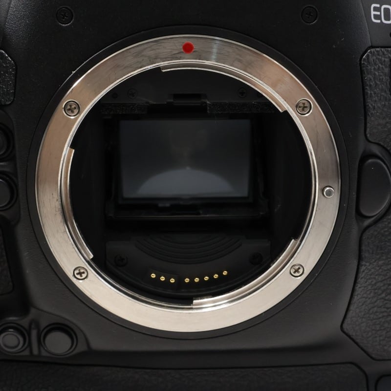 デジタルカメラ Canon EOS-1DX EOS-1D X - キヤノンカメラミュージアム