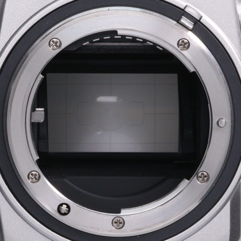 Df ボディ シルバー