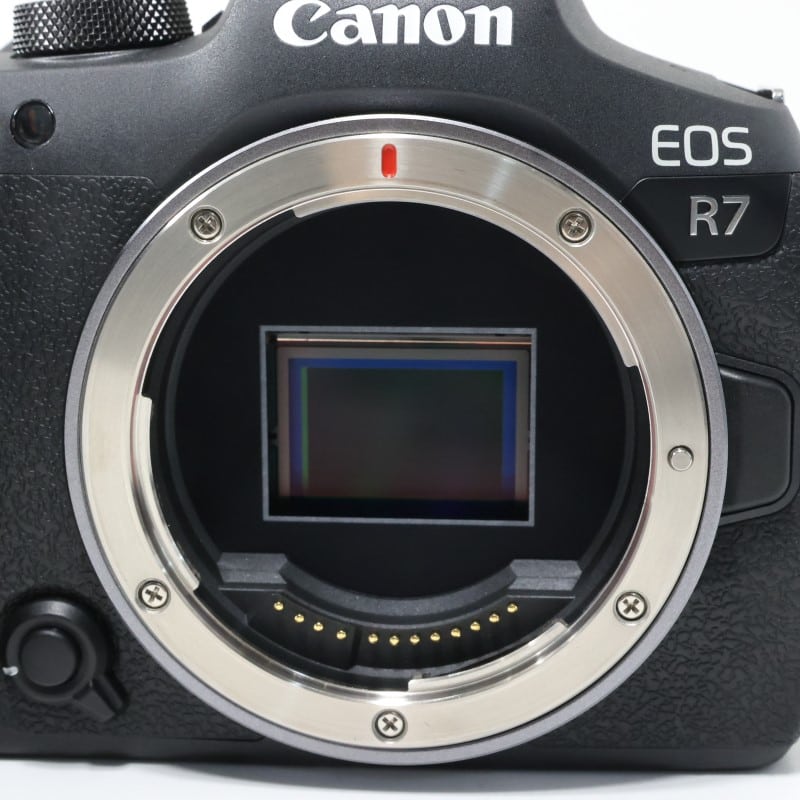 EOS R7 ボディー