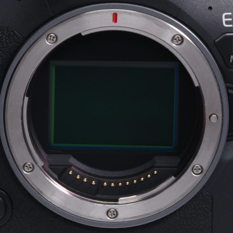 EOS R6 Mark II ボディー