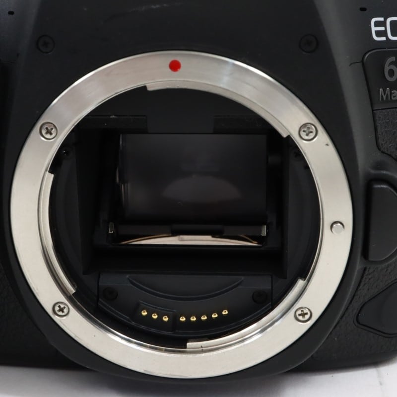 EOS 6D Mark II ボディー