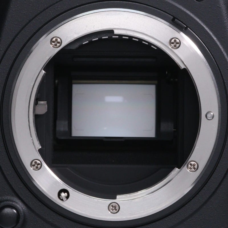 D500 ボディ