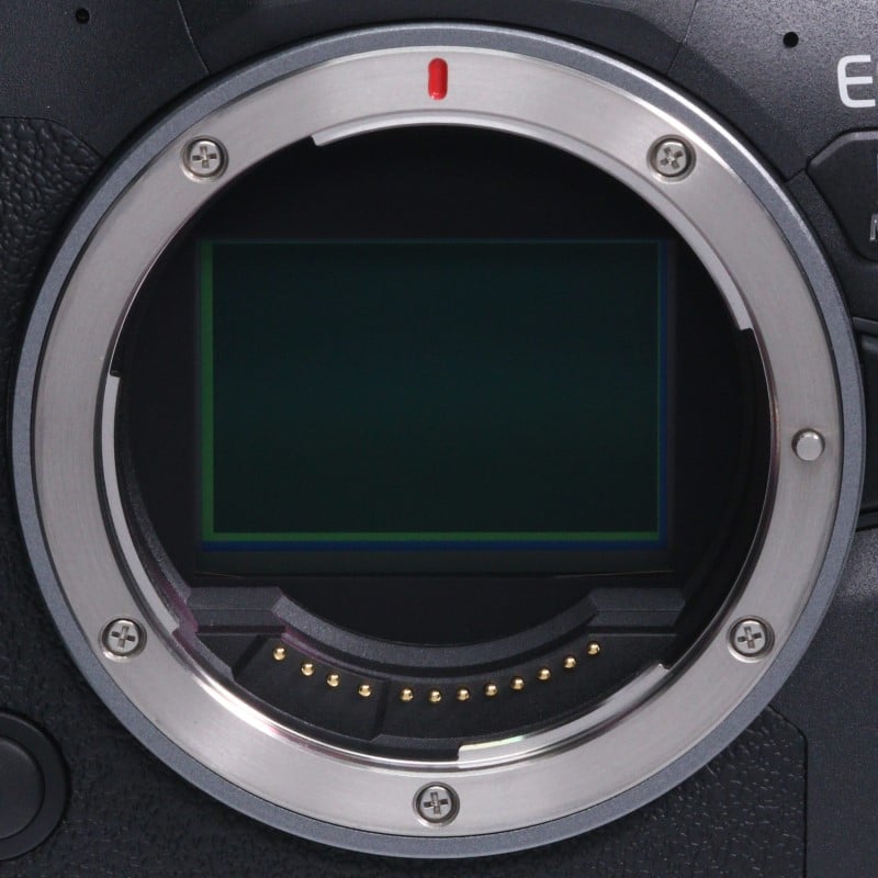 EOS R6 Mark II ボディー