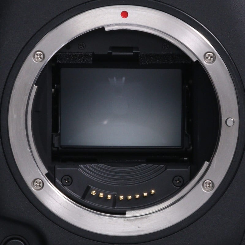 EOS-1D X Mark II ボディー