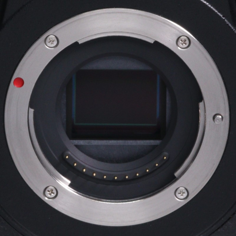 LUMIX GH5S ボディ DC-GH5S