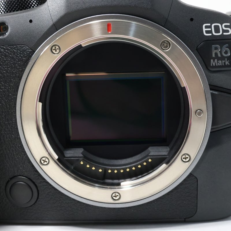 EOS R6 Mark II ボディー