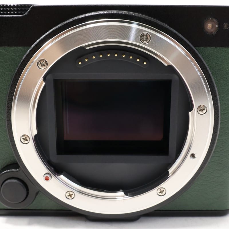 LUMIX S9 ボディ ブラック DC-S9-K