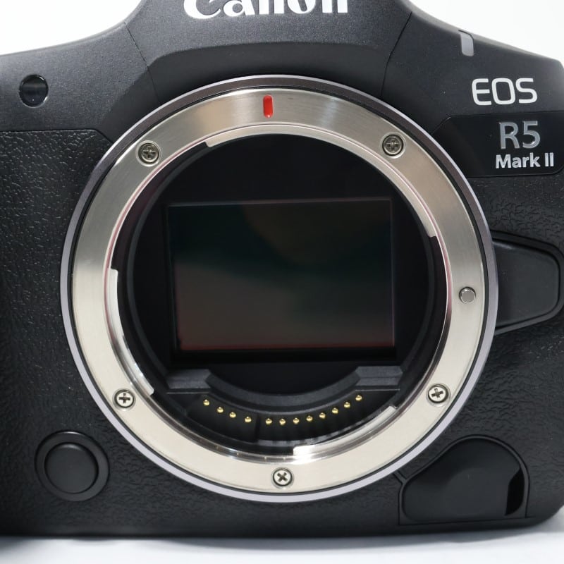 EOS R5 Mark II ボディー