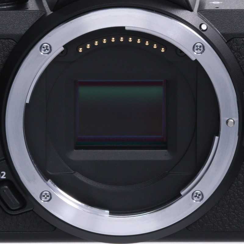 Z50 ボディ