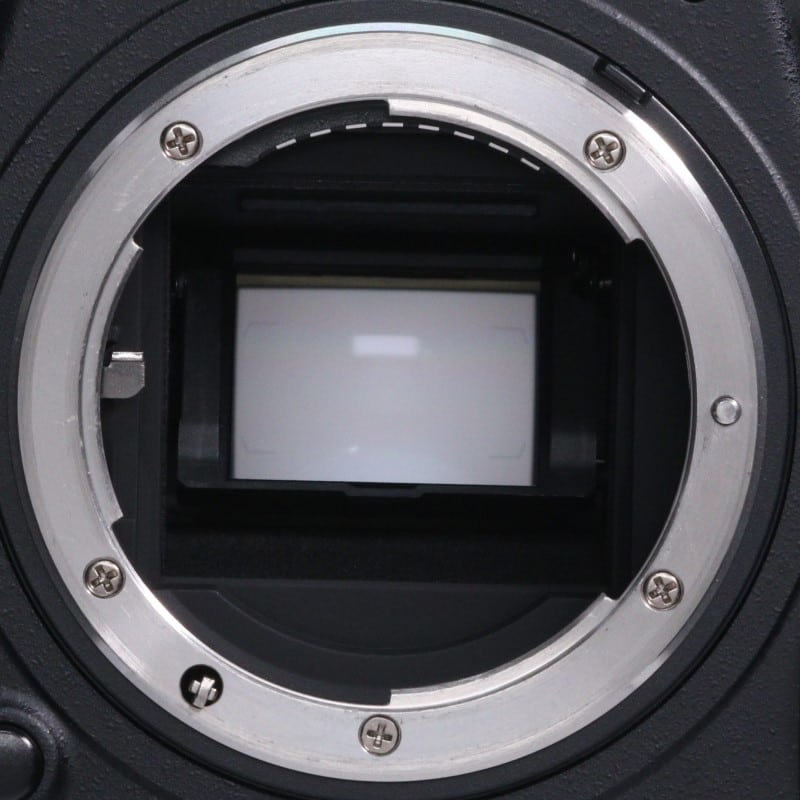 D500 ボディ
