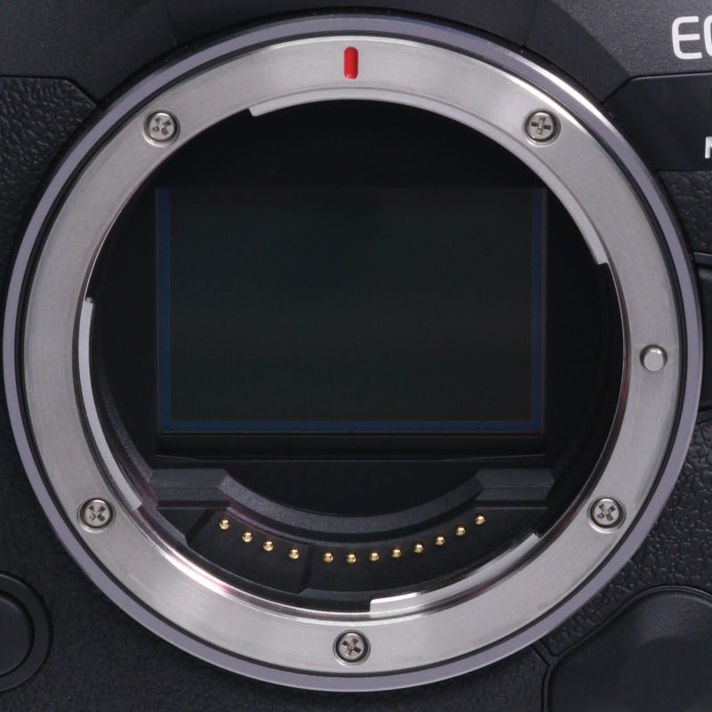 EOS R5 Mark II ボディー