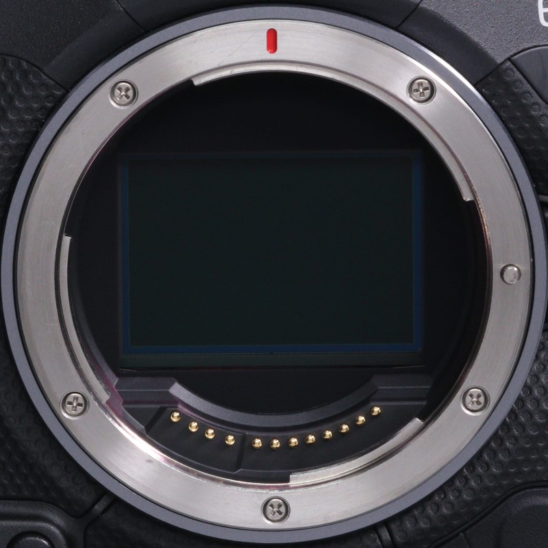EOS R3 ボディー