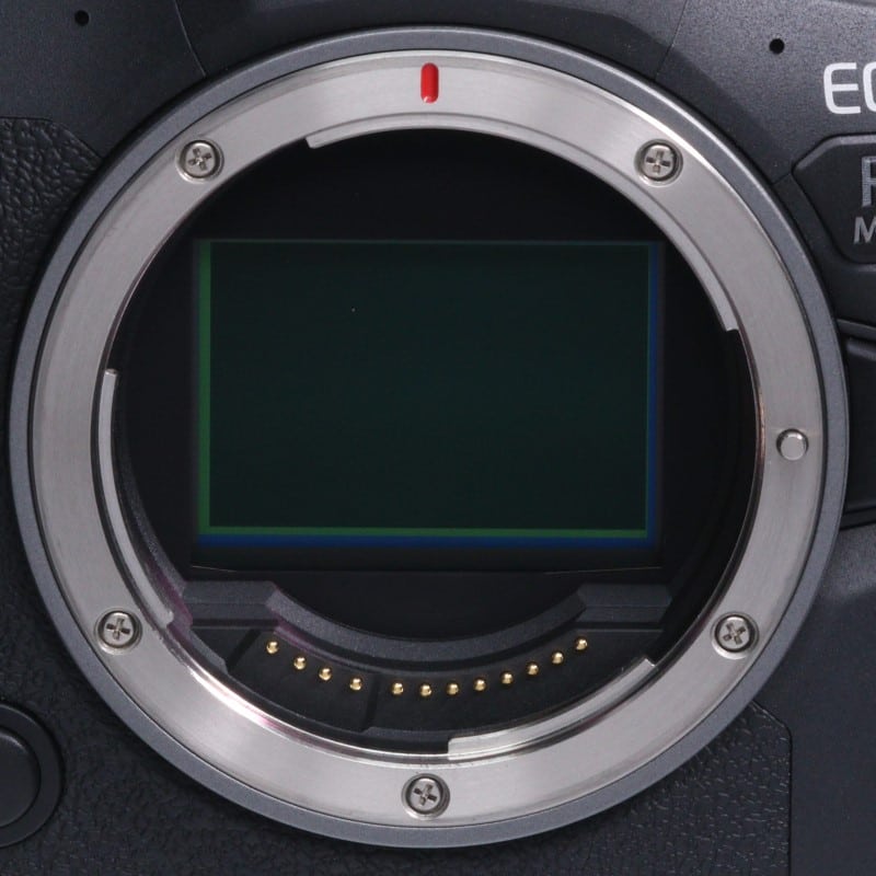 EOS R6 Mark II ボディー