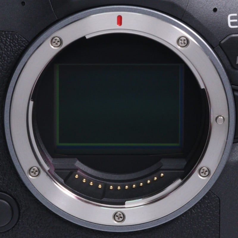 EOS R6 Mark II ボディー