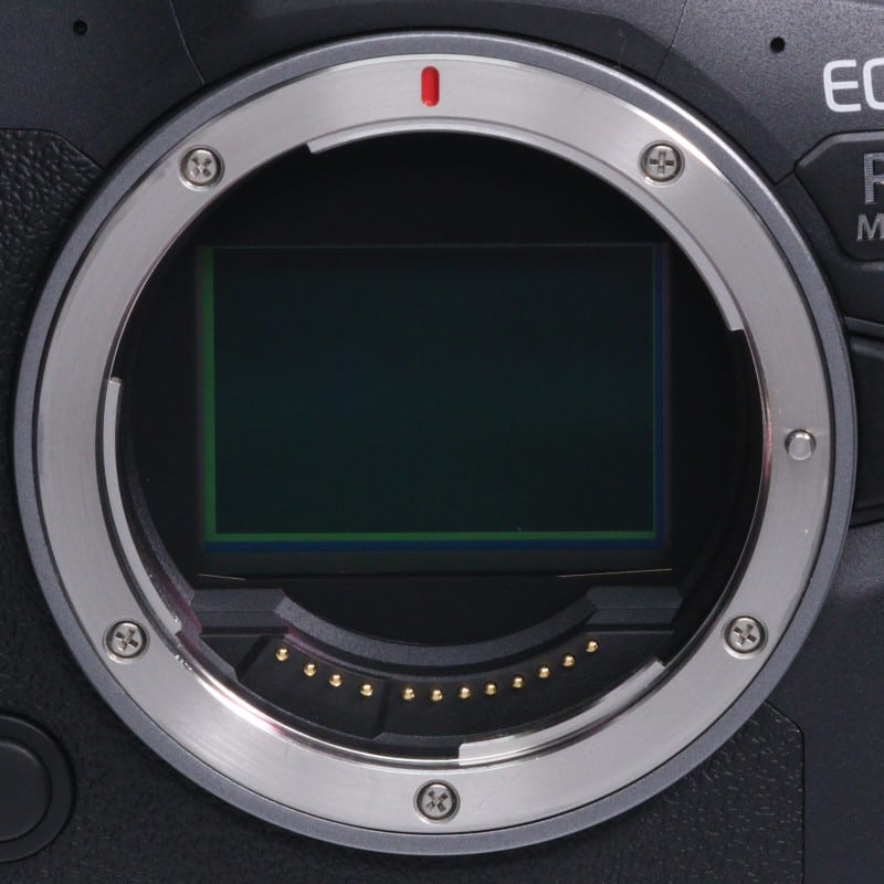 EOS R6 Mark II ボディー