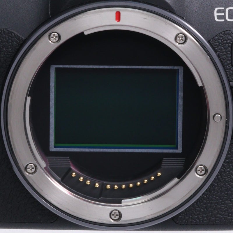 EOS R8 ボディー