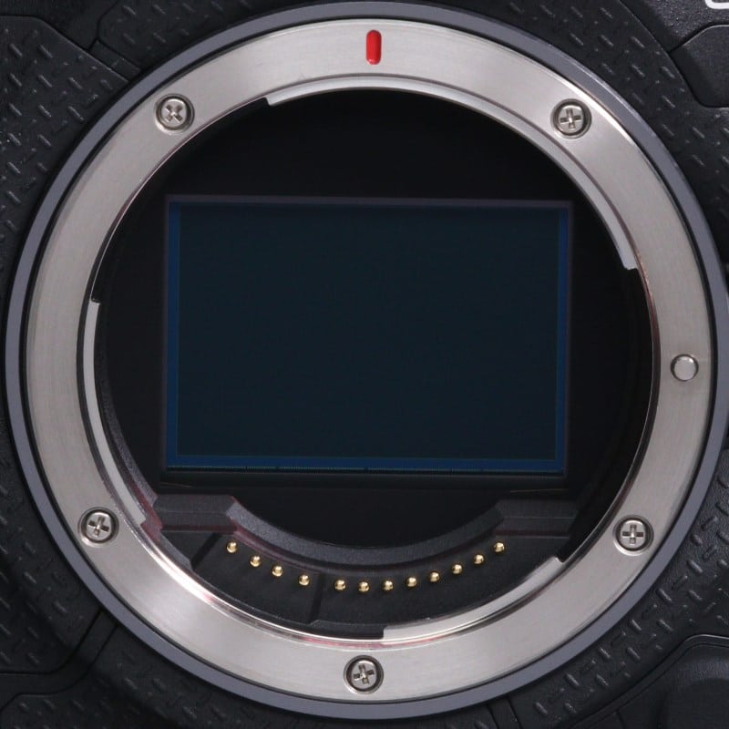 EOS R1 ボディー