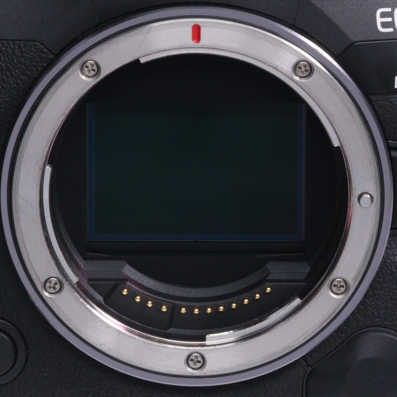 EOS R5 Mark II ボディー
