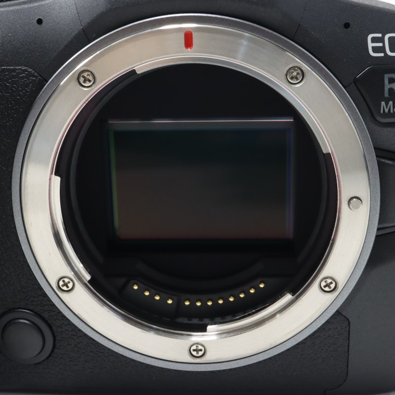 EOS R6 Mark II ボディー 海外モデル