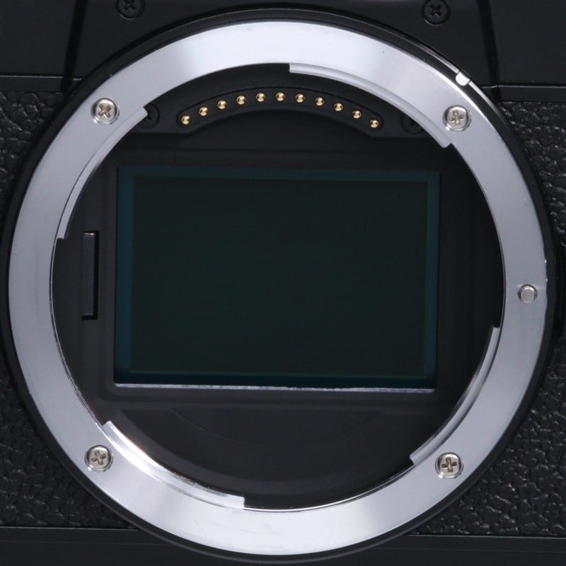 Zf ボディ ブラック