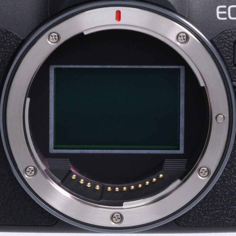 EOS R8 ボディー
