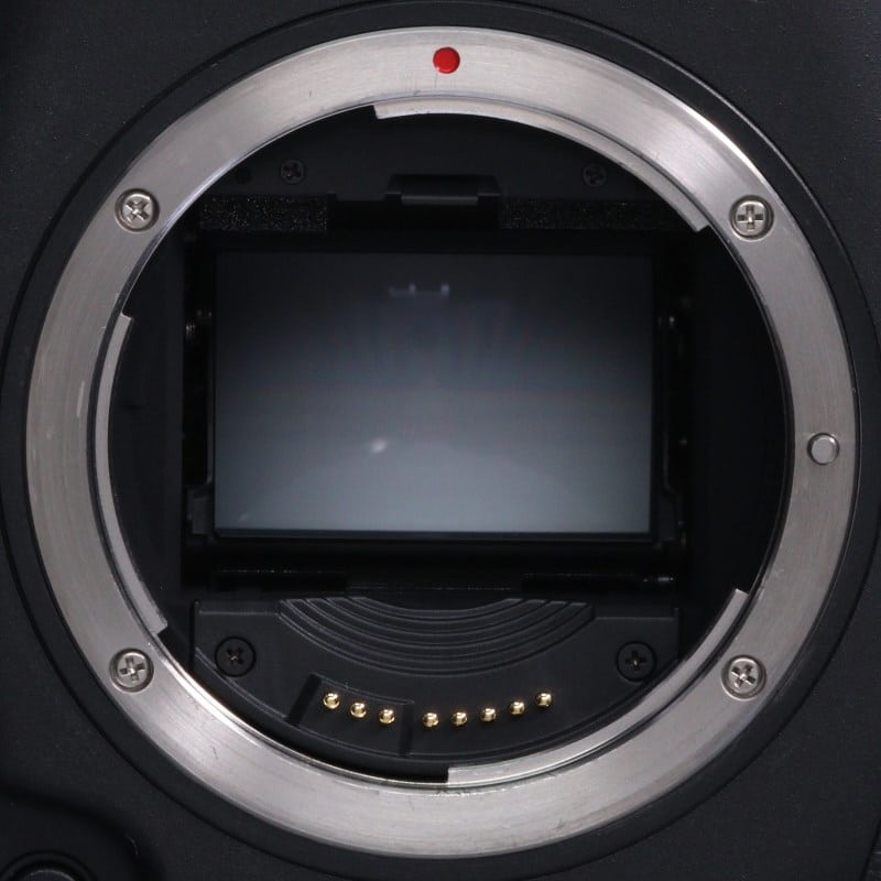 EOS-1D X Mark II ボディー