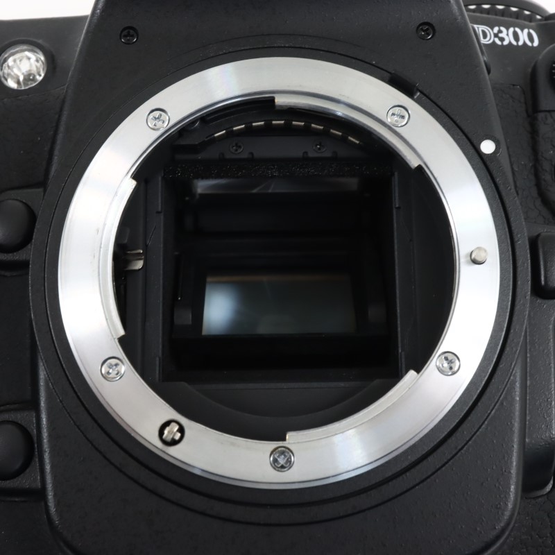 D300