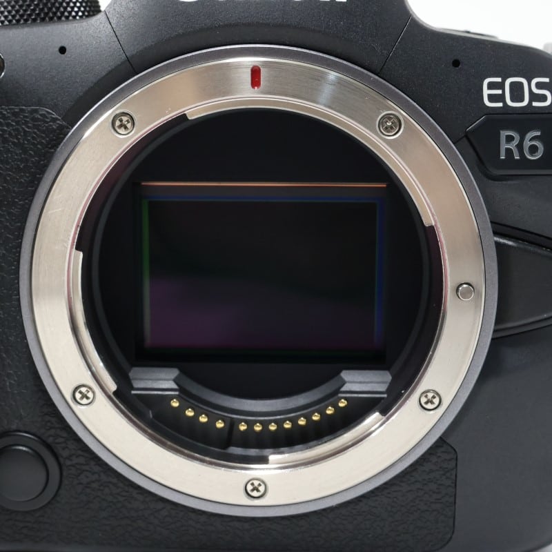 EOS R6 ボディー