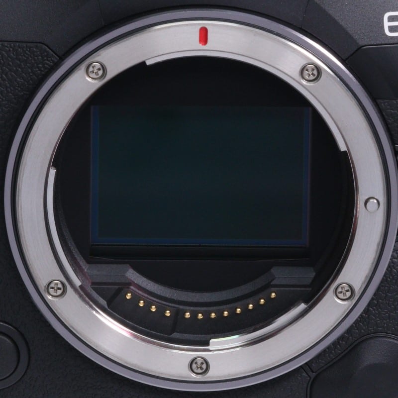 EOS R5 Mark II ボディー