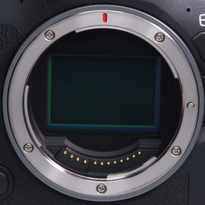 EOS R6 Mark II ボディー