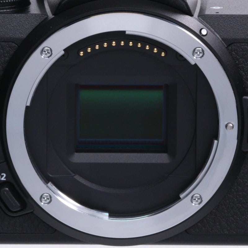 Z50 ボディ