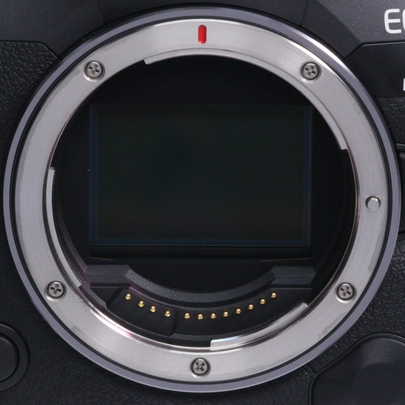 EOS R5 Mark II ボディー