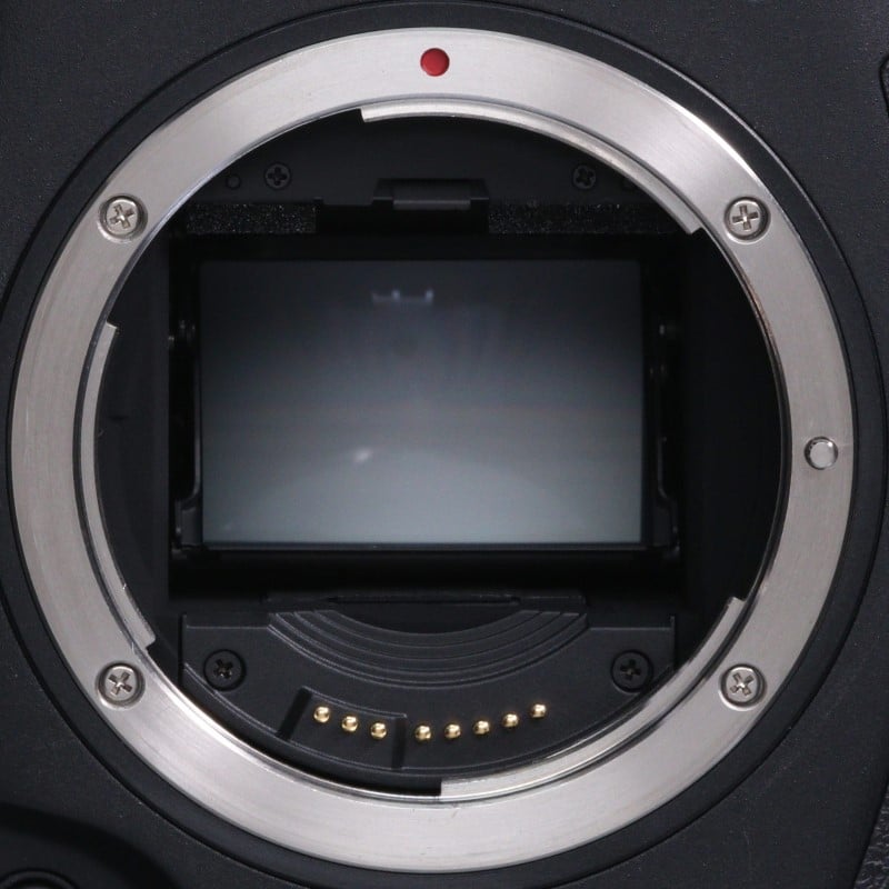 EOS-1D X Mark III ボディー
