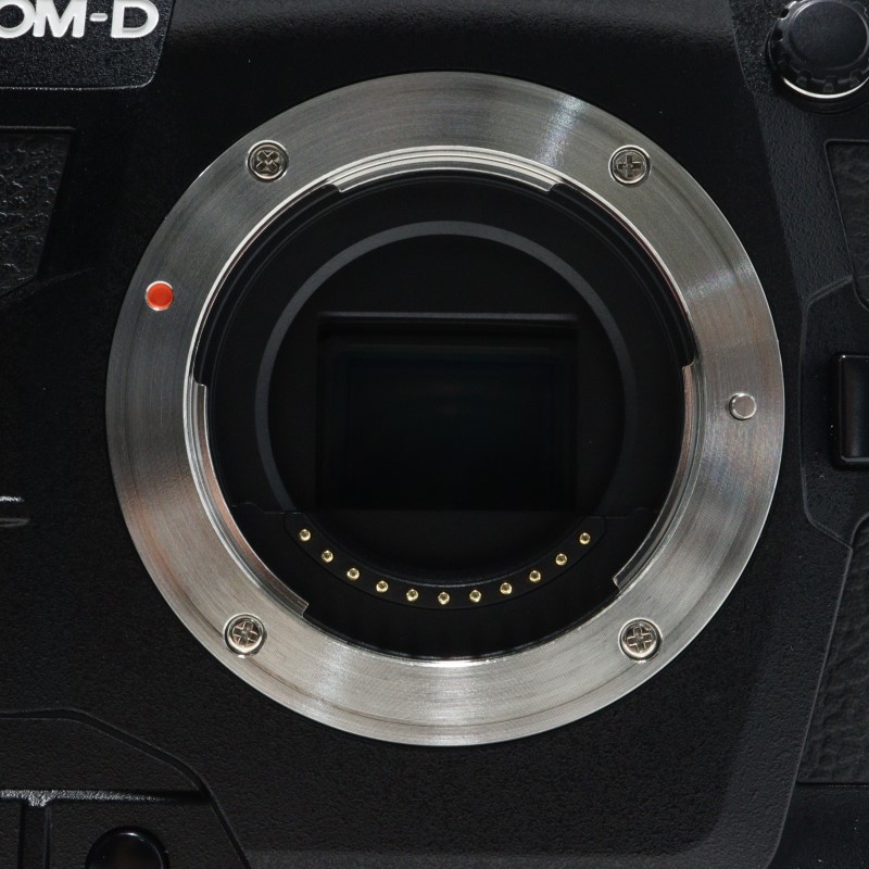 OM-D E-M1X ボディ