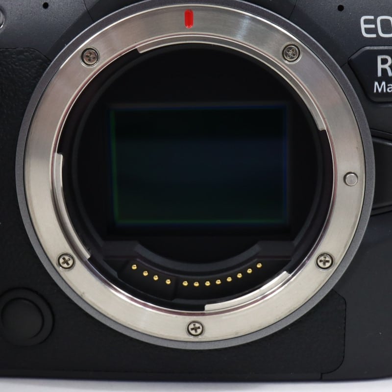 EOS R6 Mark II ボディー