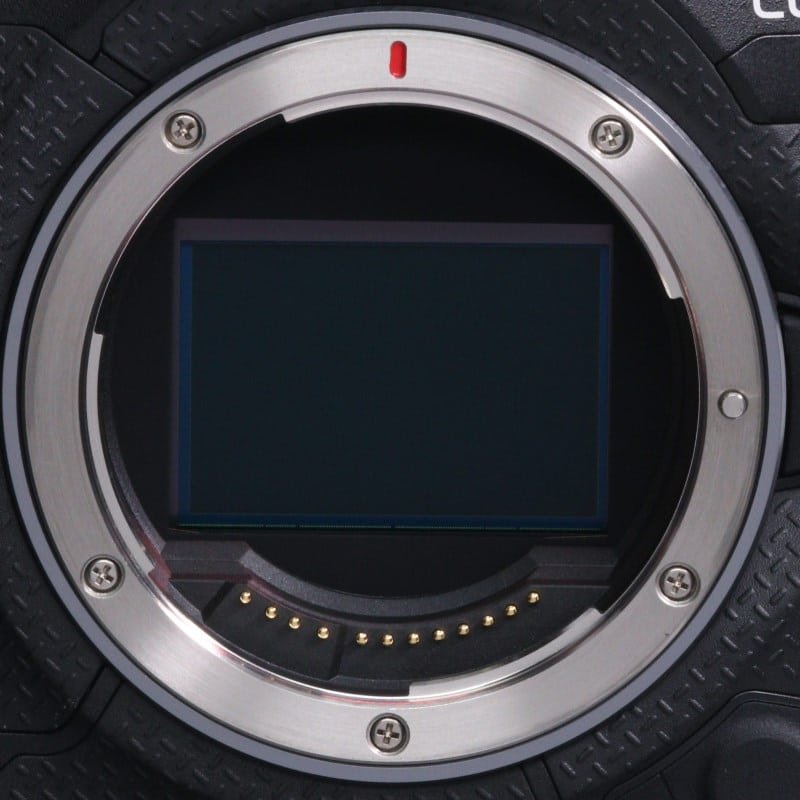 EOS R1 ボディー