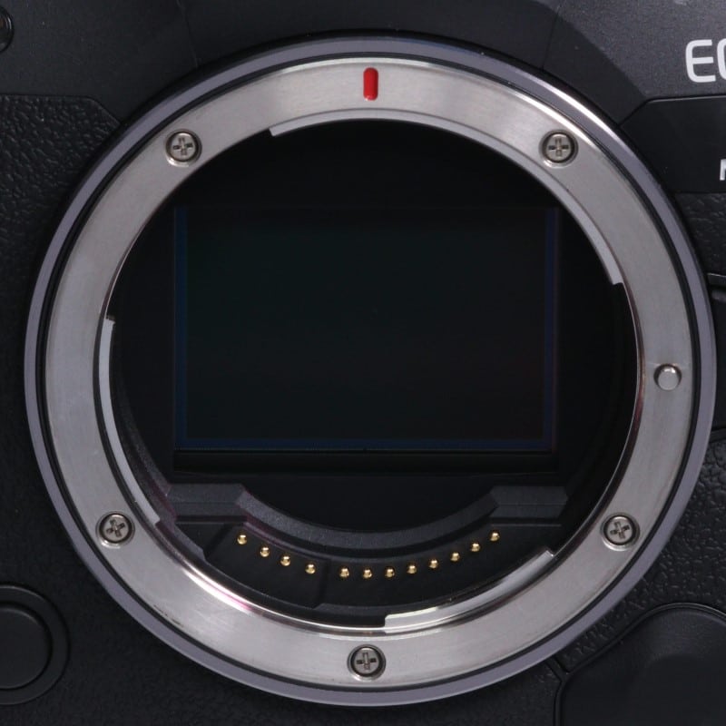 EOS R5 Mark II ボディー