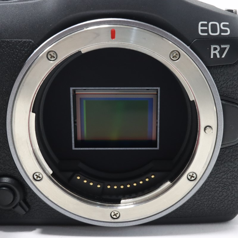 EOS R7 ボディー