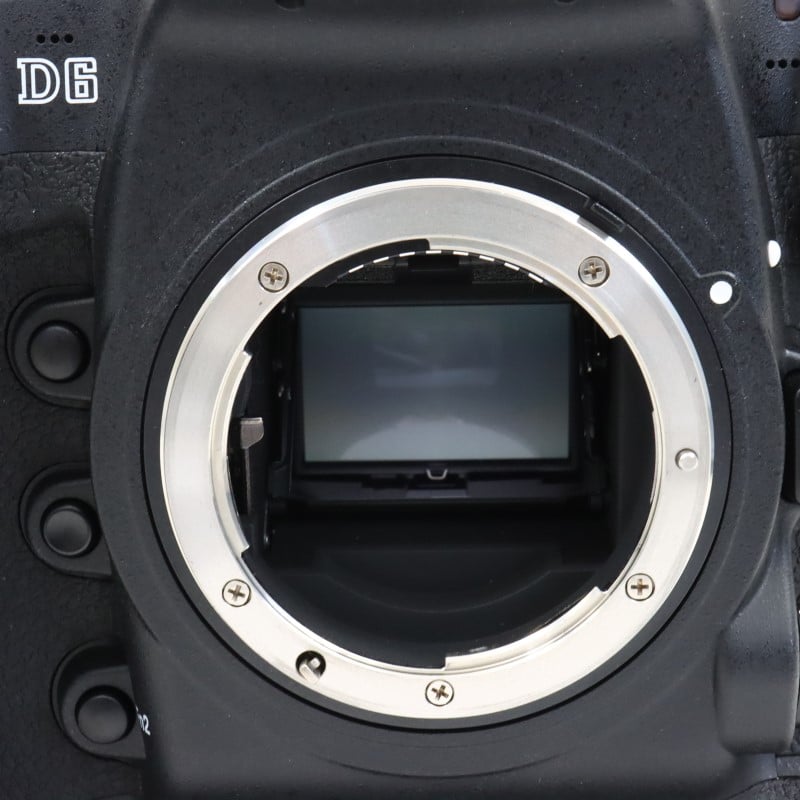 D6 ボディ