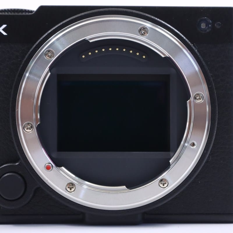 LUMIX S9 ボディ ジェットブラック DC-S9-K