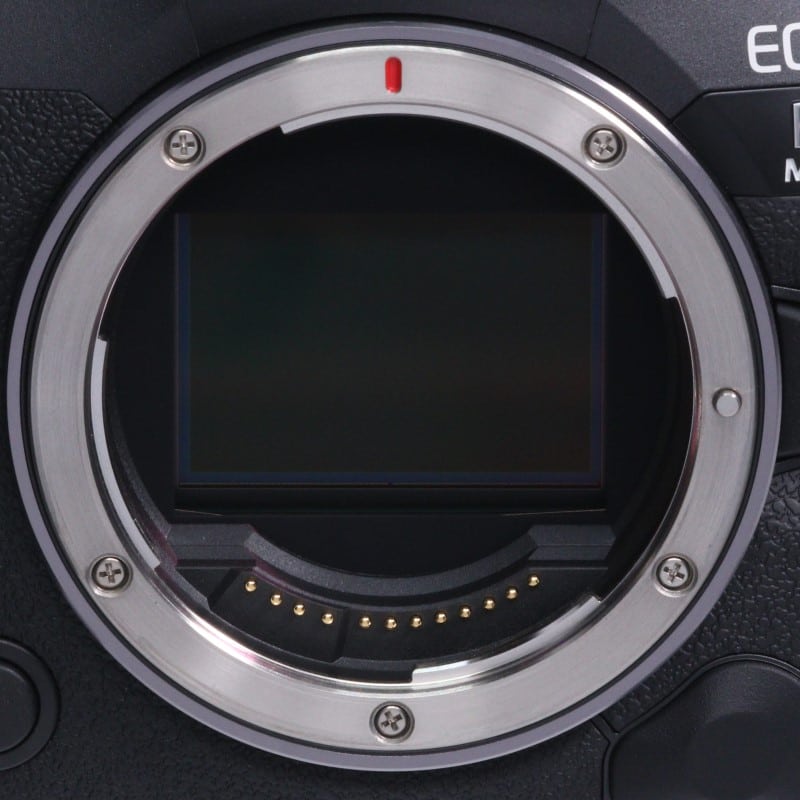 EOS R5 Mark II ボディー