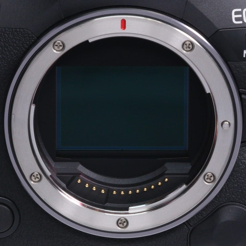 EOS R5 Mark II ボディー