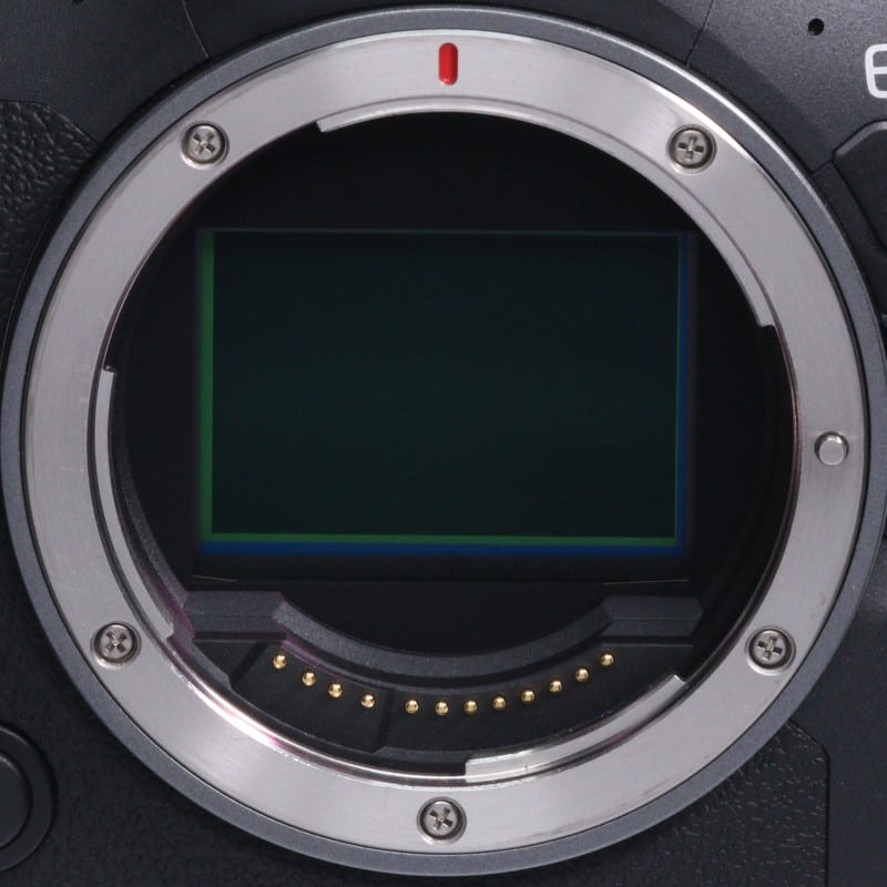 EOS R6 Mark II ボディー