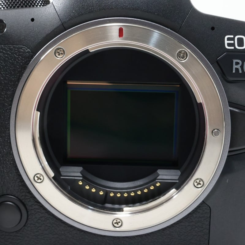 EOS R6 ボディー