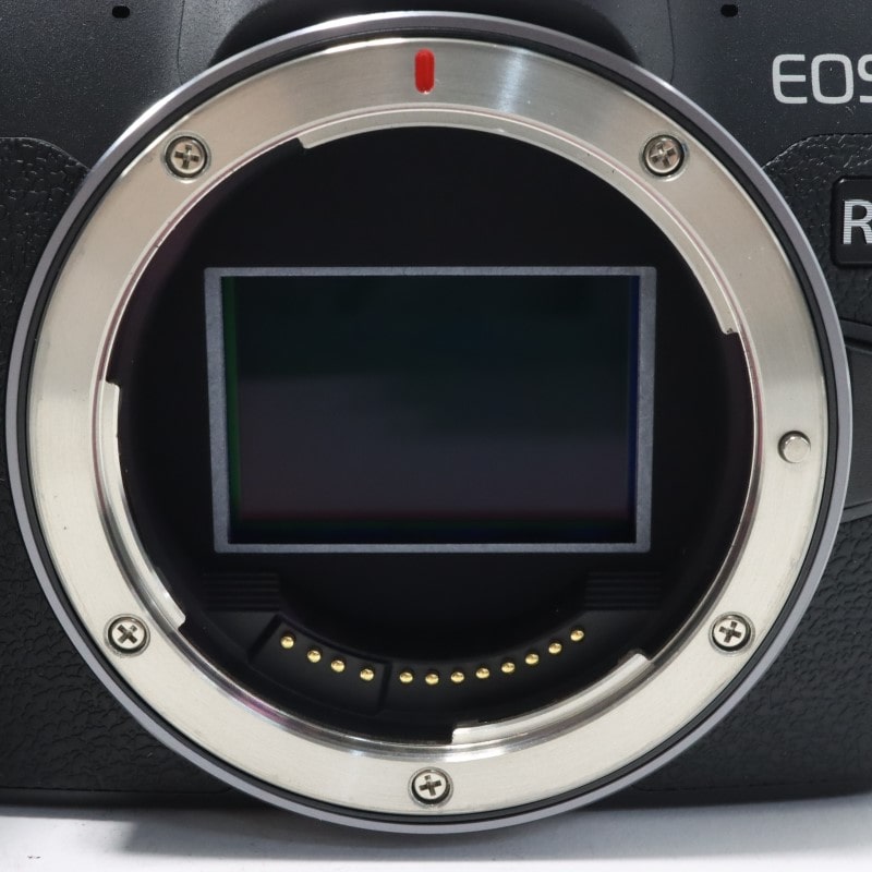 EOS R8 ボディー